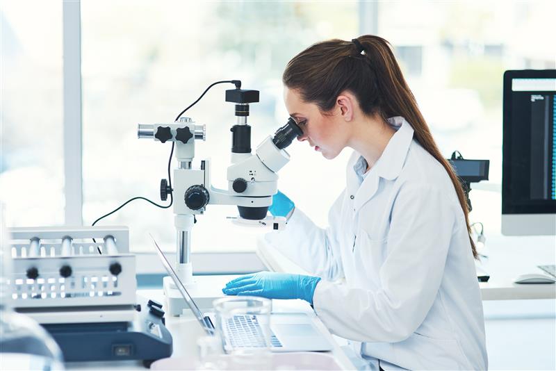 shutterstock_2507089649